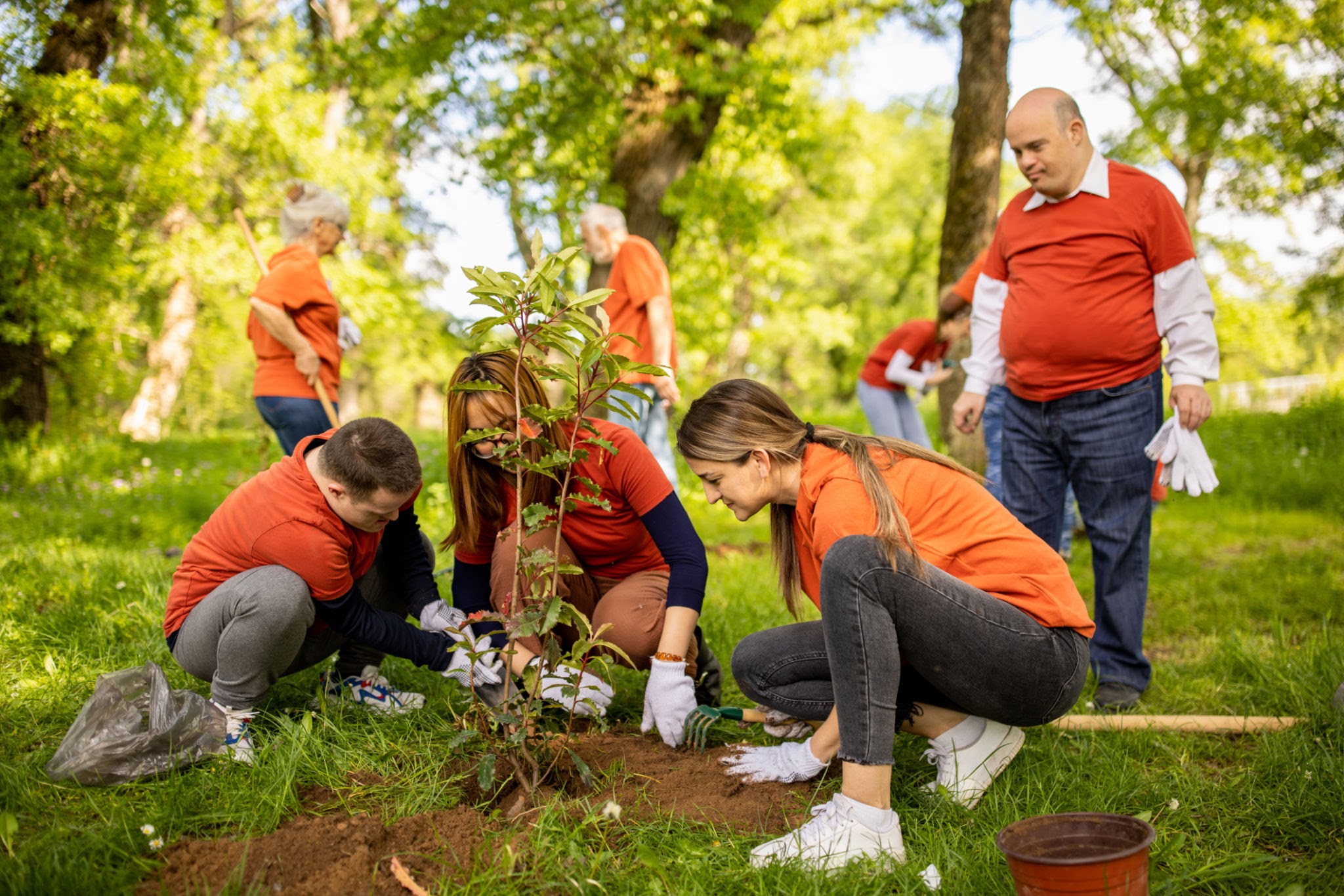 Volunteers planting trees