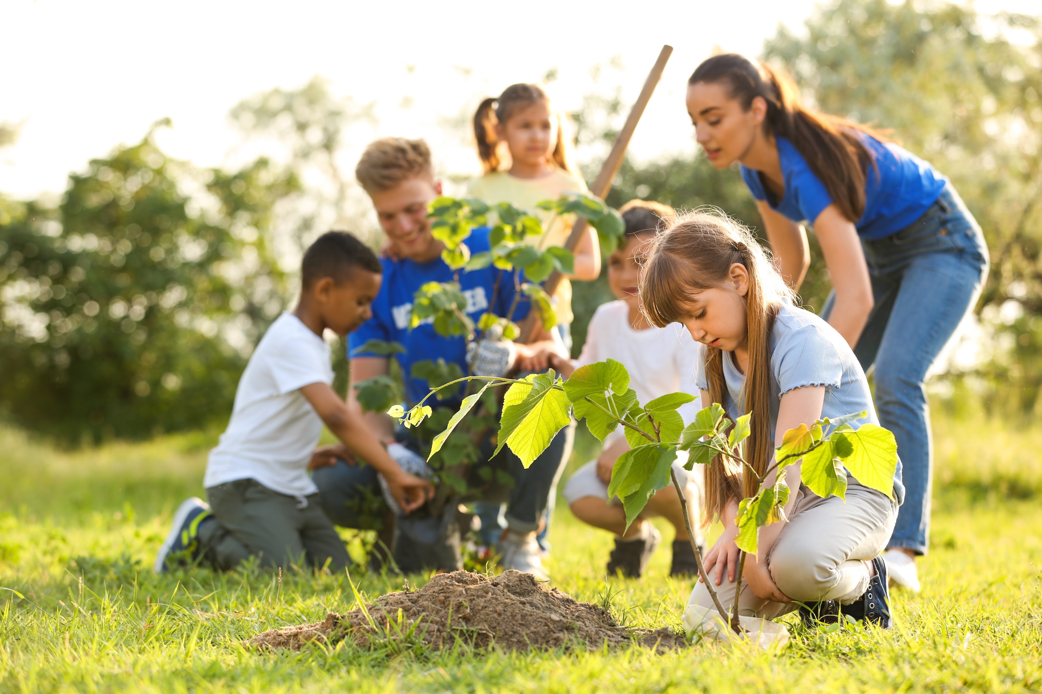 Children participating in the planting